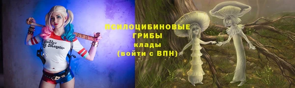 стафф Алзамай